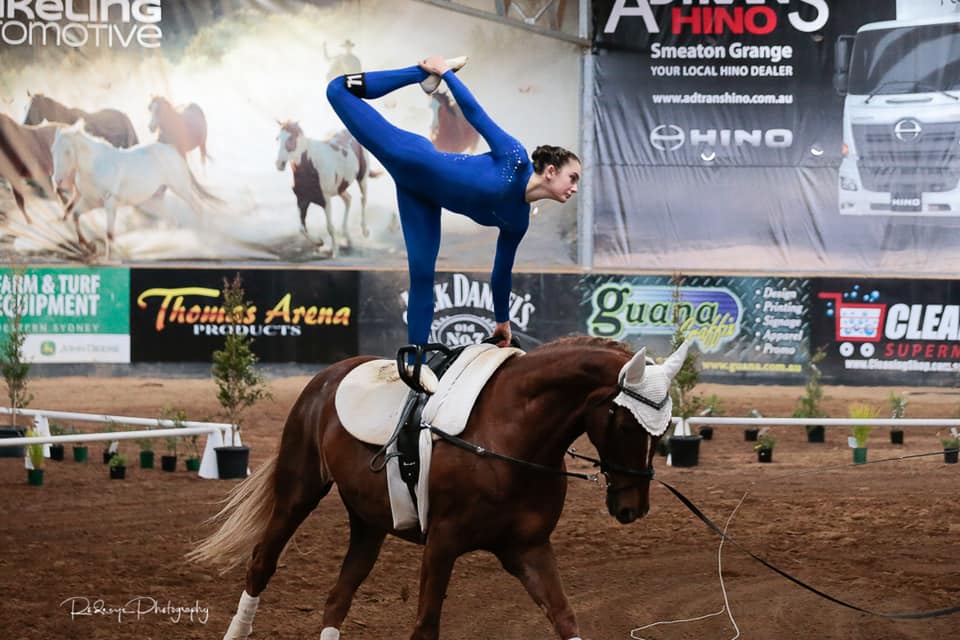 Vaulting Horse Gymnastics