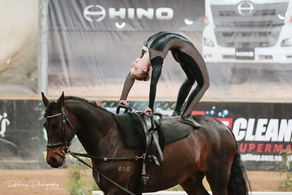 Vaulting Horse Gymnastics